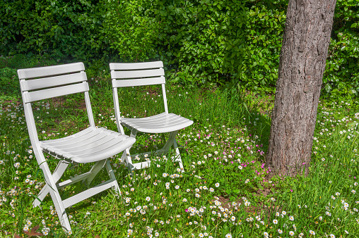 empty chairs in backyard garden