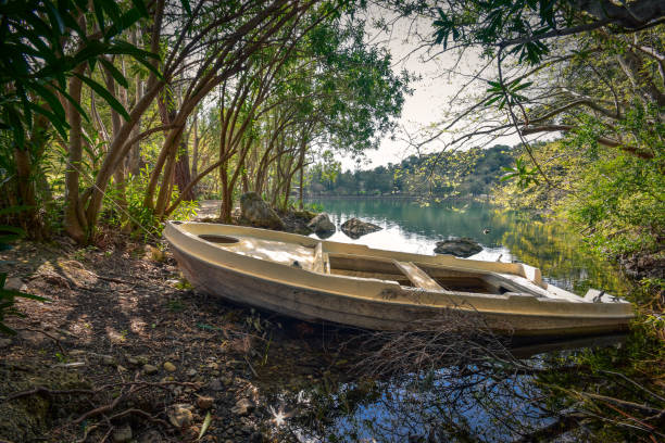 istock Lake of Zaros at spring, Crete, Greece. 664526476