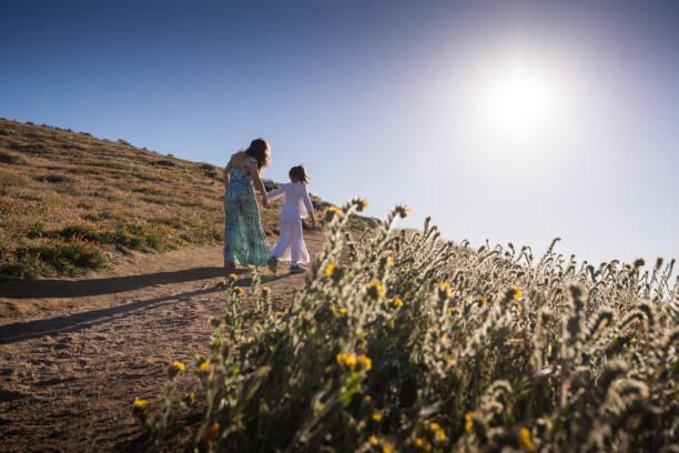 istock Mother and daughter holding hands while walking through meadow 664534706