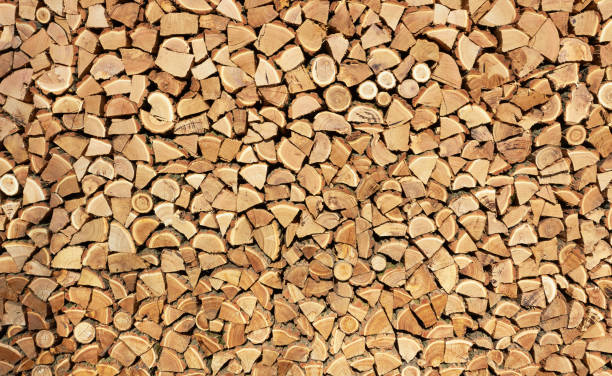 istock Background of dry firewood 664548030