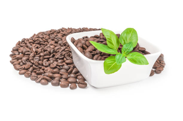 istock Brazilian coffee isolated on a white background cutout 664548474