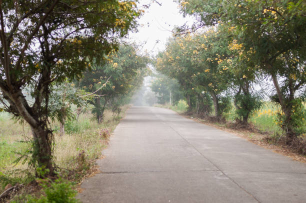 istock road in the countryside 664552854