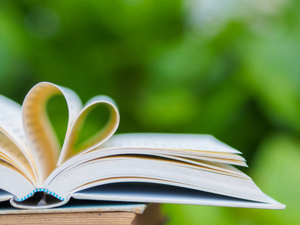 istock book on table in garden with top one opened and pages forming heart shape 664560908
