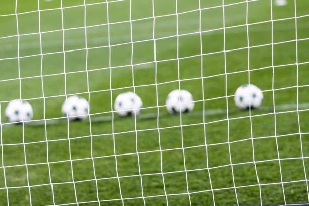 istock Soccer net and soccer ball on green grass 664568728