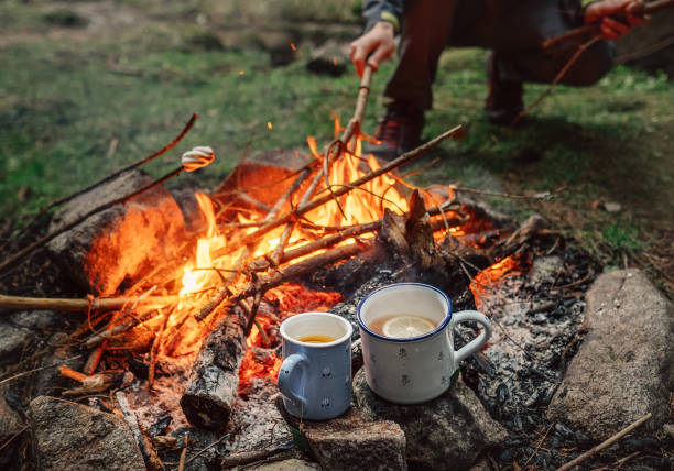 istock Two big mugs with hot tea and lemon near the campfire place 664569478