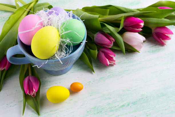 istock Easter holiday symbol painted eggs in blue cup and pink tulips background 664579172