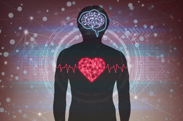 Silhouette of human body with technology line and dot of polygonal shape brain and heart over the Technology connection background, Science healthy and physician education concept stock photo