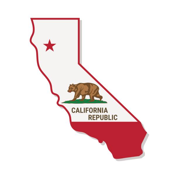 California Independence Campaign. Vector illustration. Calexit - California is secede From USA. State flag of California republic with brown bear. California Independence Campaign. referendum in United States of America. Vector illustration. symbols of california stock illustrations