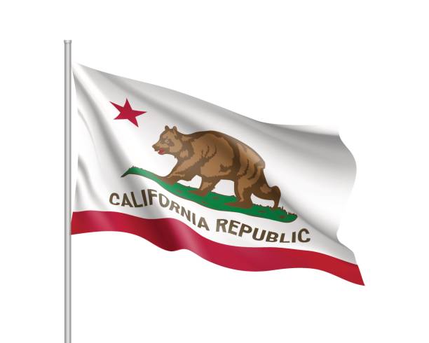 istock Flag of California American state 664580840