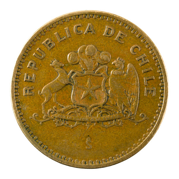 istock 100 chilean peso coin (1996) reverse isolated on white background 664581146