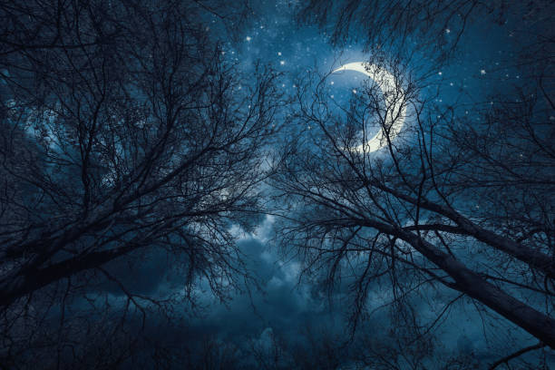 istock Night sky with stars and moon 664582228