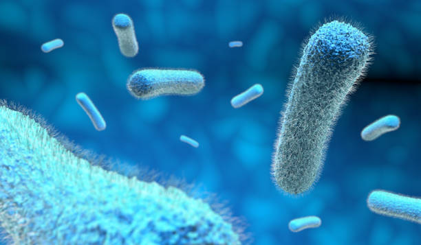 青い背景で顕微鏡細菌 - プラスミド点のイラスト素材／クリップアート素材／マンガ素材／アイコン素材