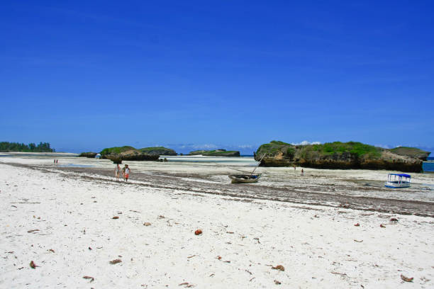 Marine life in Kenya