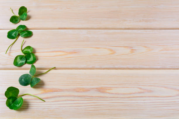istock Three-leaves clover on wooden background 664595120