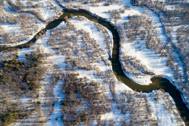 istock River Flows Among Woodland. Sunny Day In Early Spring 664596220