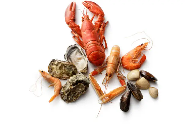 Photo of Seafood: Lobster, Langoustine, Shrimps, Oysters, Mussels and Clams on White
