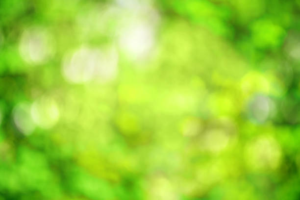 Abstract bright green spring background with tender bokeh for a concept