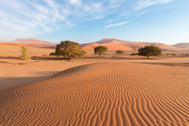 istock The scenic Sossusvlei and Deadvlei 664610946