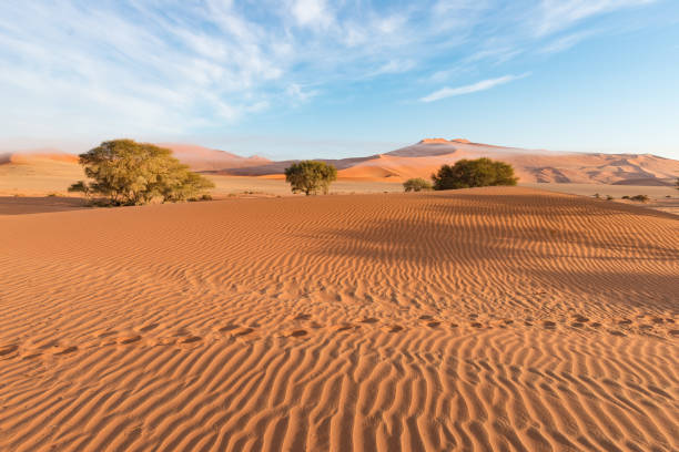 istock The scenic Sossusvlei and Deadvlei 664610974