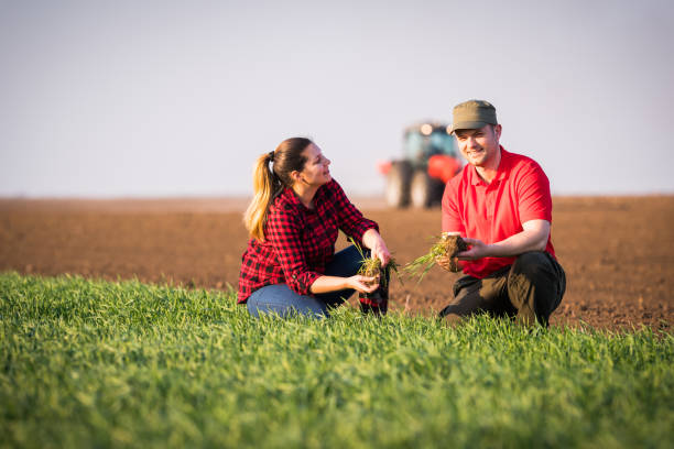 istock Young farmers examing  planted wheat while tractor is plowing field 664611656