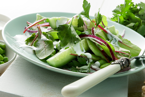 Salads: Salad with Cucumber, Lettuce, Soy Beans, Parsley and Yoghurt Dressing Still Life