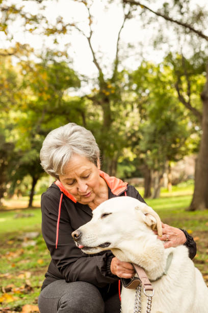 istock Senior woman in the park 664618664