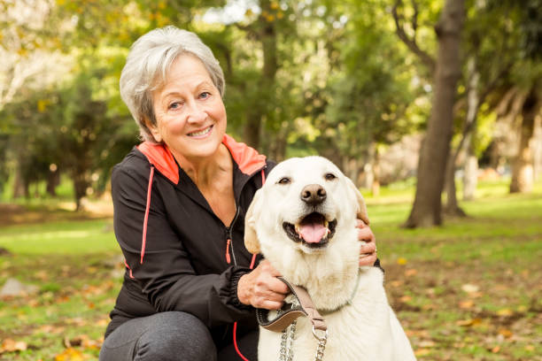 istock Senior woman in the park 664618762