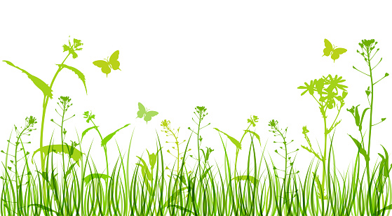 Green floral background with silhouettes of flowers and grass