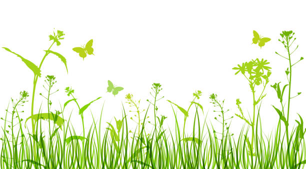 Flowers and green grass Green floral background with silhouettes of flowers and grass meadow grass stock illustrations