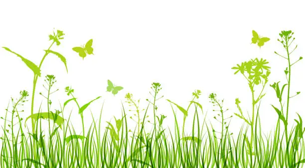 Vector illustration of Flowers and green grass