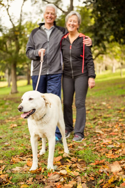 istock Senior couple in the park with dog 664619084