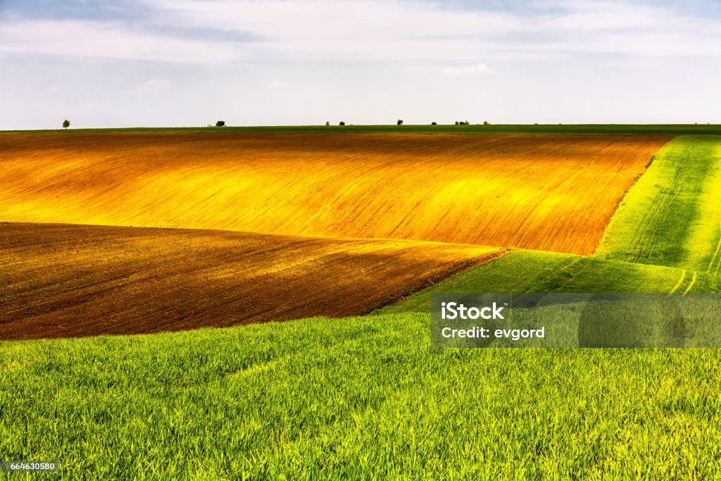 Us. Fields Green And Brown Fields Side By Side Stock Photo - Download Image Now ...