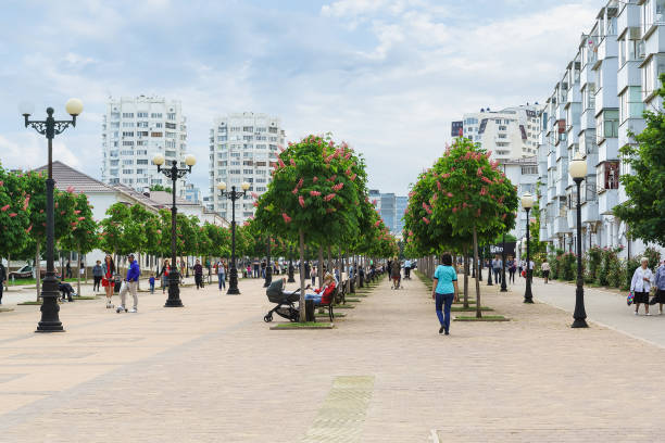 novorossiysk, rússia - podem 08.2016: chestnut avenue sobre o boulevard chernyakhovsky - brioni - fotografias e filmes do acervo