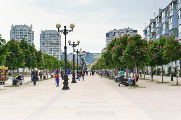 novorossiysk, rússia - podem 08.2016: chestnut avenue sobre o boulevard chernyakhovsky, a cidade de novorossiysk - brioni - fotografias e filmes do acervo