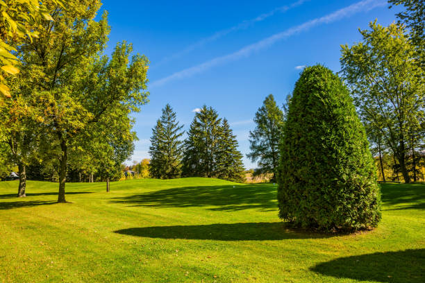 istock Golf Club on the way to Bromont 664643200