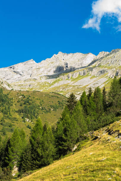 paysage alpin - hochfeiler photos et images de collection