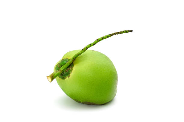 istock Coconut Ripe and tasty isolated on white background 664654350