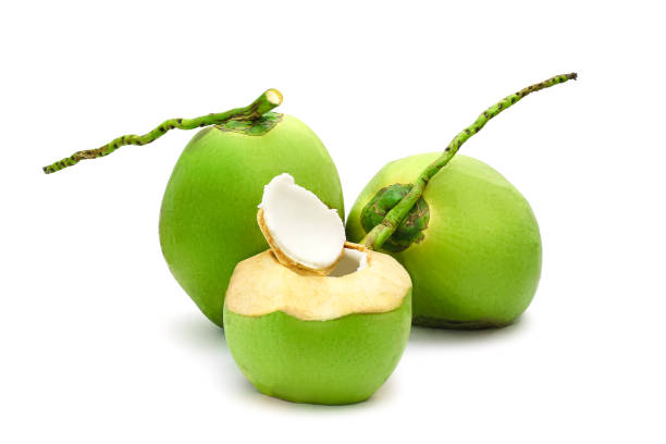 istock Coconut Ripe and tasty isolated on white background 664654398