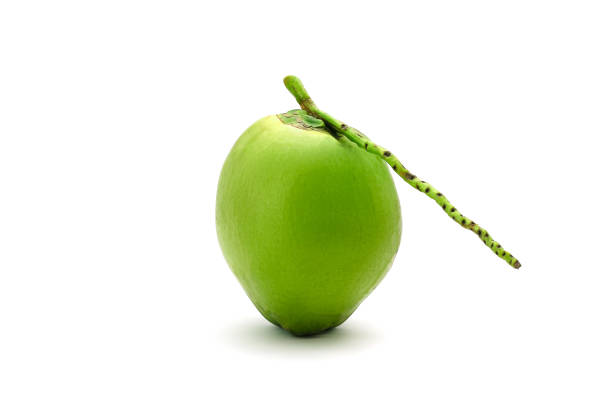 istock Coconut Ripe and tasty isolated on white background 664656458