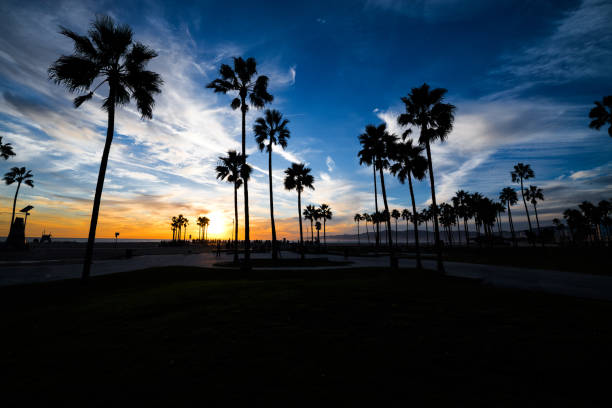 istock Venice Beach skate park 664660640