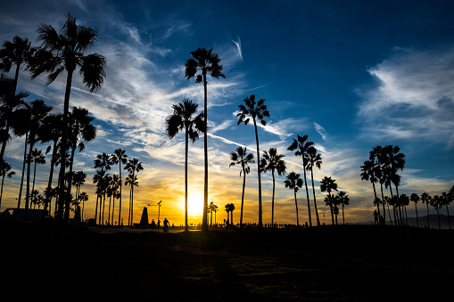 Silhouettes of palm trees and various objects are visible on Santa Monica Beach at sunset.