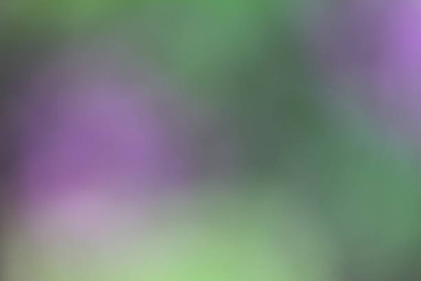 istock Green and pink abstract background 664668284