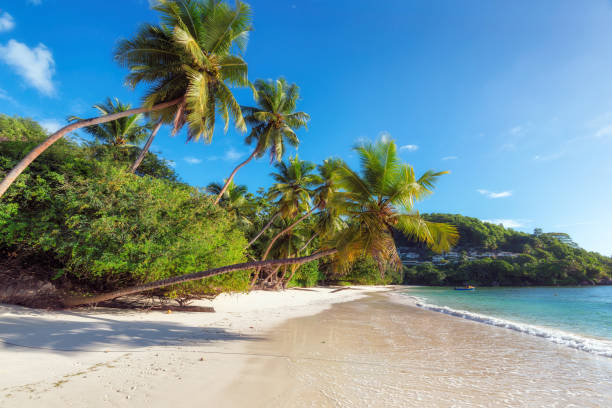 istock Beautiful beach Anse Takamaka at Seychelles, Mahe island. 664672978