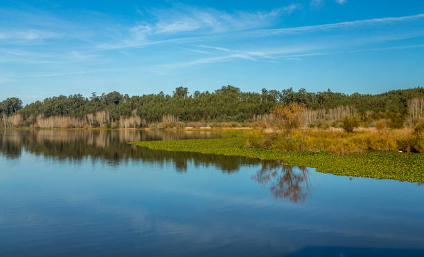 istock Beautiful and Calm Lake 664672980
