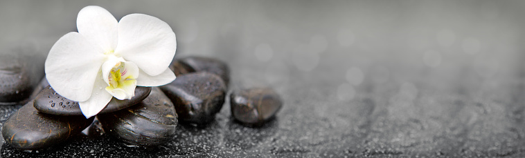 White orchid flower and stone with water drops isolated on black background.