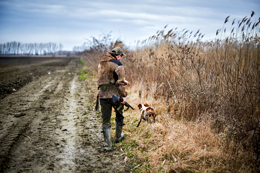 Portrait of hunter with rifle and hunting dog while chasing the prey in the field.