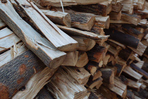 istock Pieces of would stuck together in a large pile 664687200