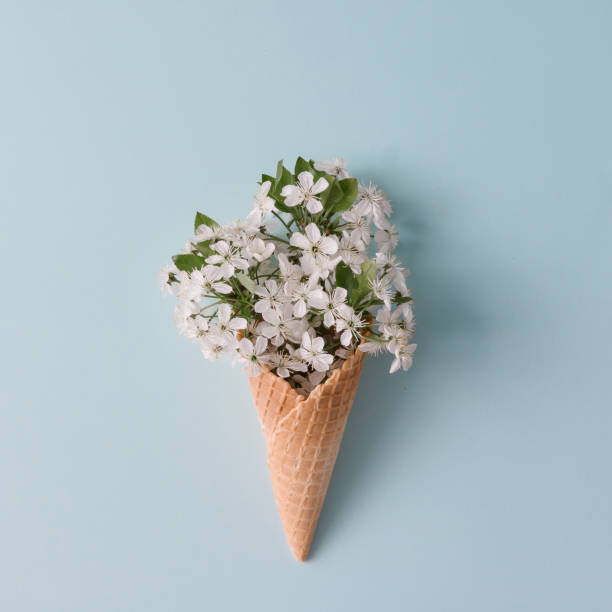 istock Ice cream cone with white flowers and leaves. Summer minimal concept. Flat lay. 664689706