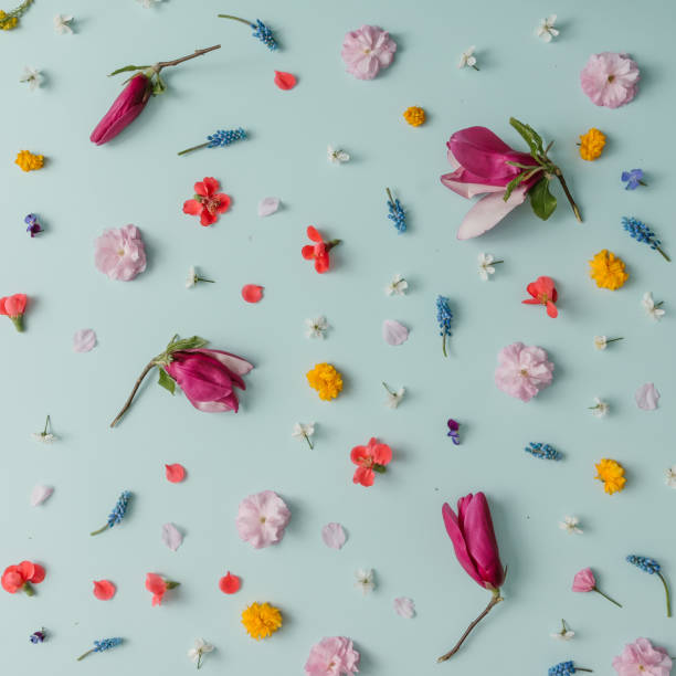 istock Creative pattern made of colorful spring flowers. Minimal style. Flat lay. 664692124