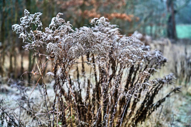 istock Landscape exposures Brandenburg, Germany 664699226